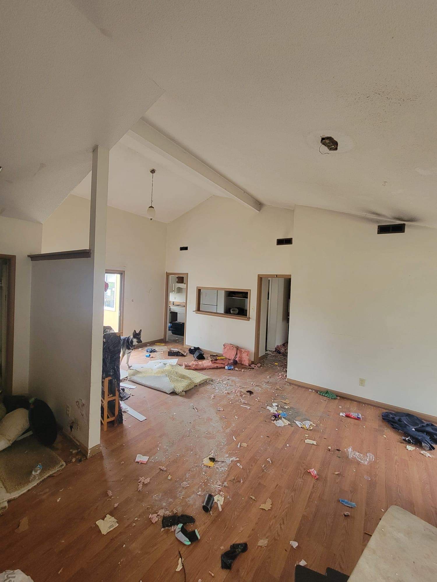 Squatter House with items all around